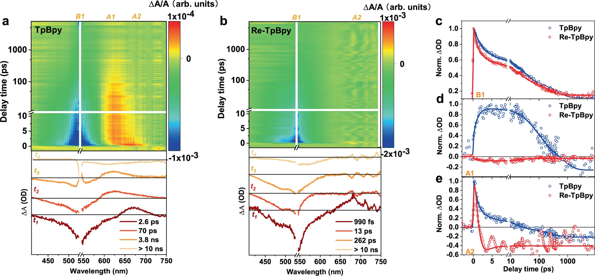Excipolar Spinon_瞬态吸收光谱应用
