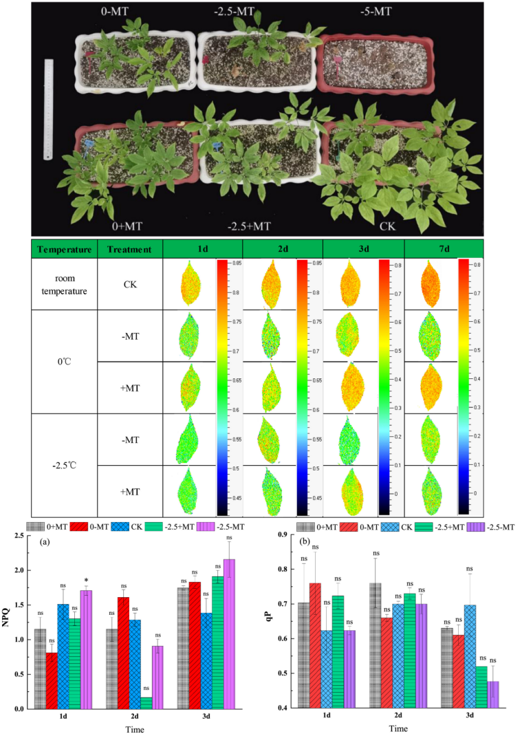 54.png 賦能藥用植物研究-易科泰表型設備落地吉林農大