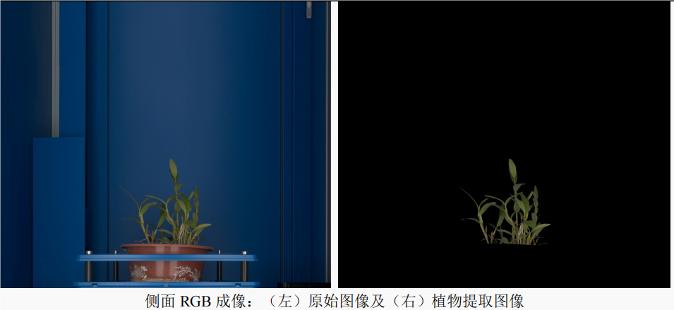 PlantScreen SC 高通量植物表型成像分析系統(tǒng)落戶遵義醫(yī)科大學(xué)