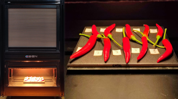 采集辣椒900-1700nm光譜數(shù)據(jù)（目的：辣度評(píng)級(jí)）