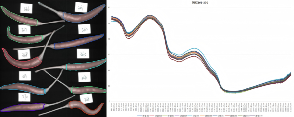 采集辣椒900-1700nm光譜數(shù)據(jù)（目的：辣度評(píng)級(jí)）