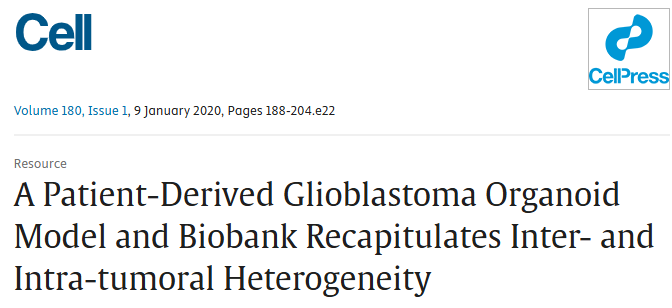 BrainBits培养基Hibernate A培养神经组织文献参考解决方案