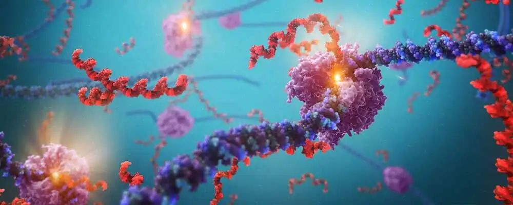 賽默飛 Stellar™ MS 實(shí)現(xiàn)大規(guī)模代謝組學(xué)同步定性定量