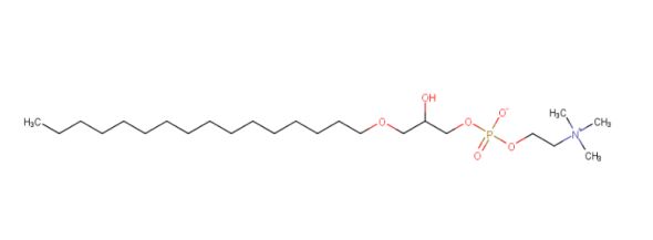 Lyso-PAFC-16（cas：52691-62-0）的相关信息