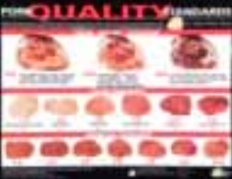 11肉类颜色测量指南-肉质彩色图解5.png