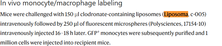 小鼠肺间质巨噬细胞介导IL-9的促肿瘤作用