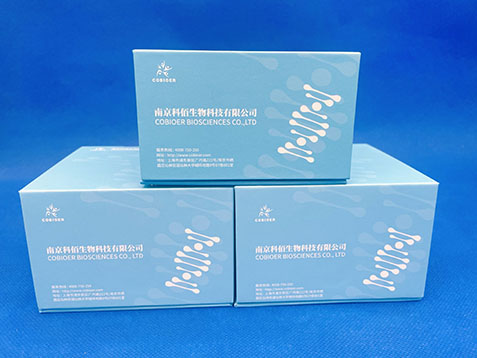 南京科佰生物cobioer代理商 2026授权代理-上海起发