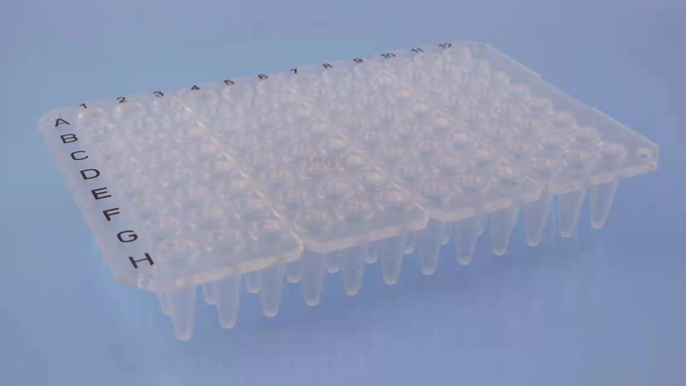 24孔板 96孔板拆分.png