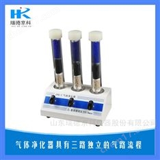 載氣氣源氣體凈化器