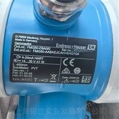 E+H/德國恩德斯豪斯放射線液位變送器