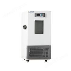 電池恒溫測(cè)試箱