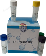 鼻病毒、合胞病毒、人偏肺病毒核酸檢測(cè)