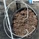 種植藍莓基地以色列metzer美滋防滴漏滴頭