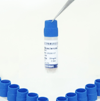 去除C3人血清  C3 Depleted Human Serum